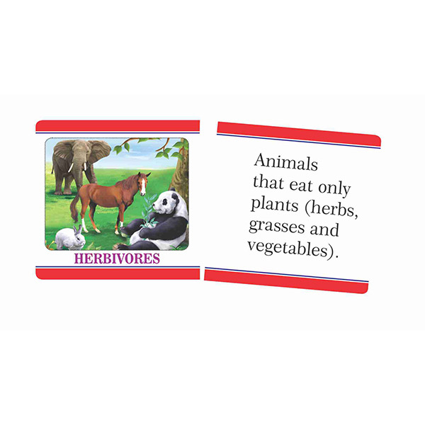 Creative's- Knowledge Booster – Animals