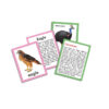 Creative's- Discover Birds