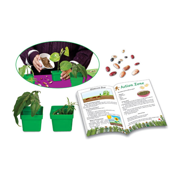 Creative's- Magic of Seeds