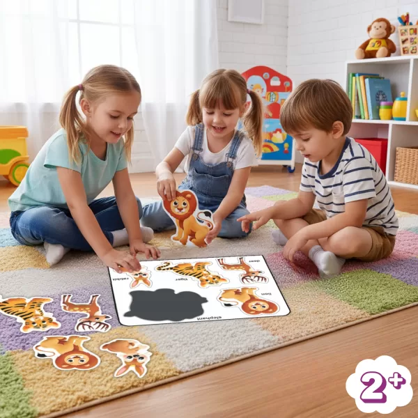 Picture Puzzles