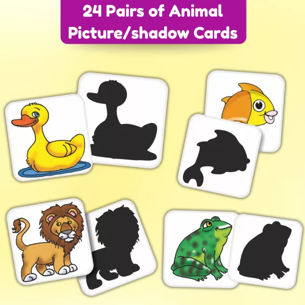 flash Cards