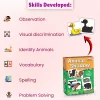 flash Cards