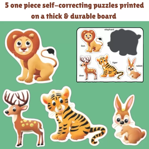 Picture Puzzles